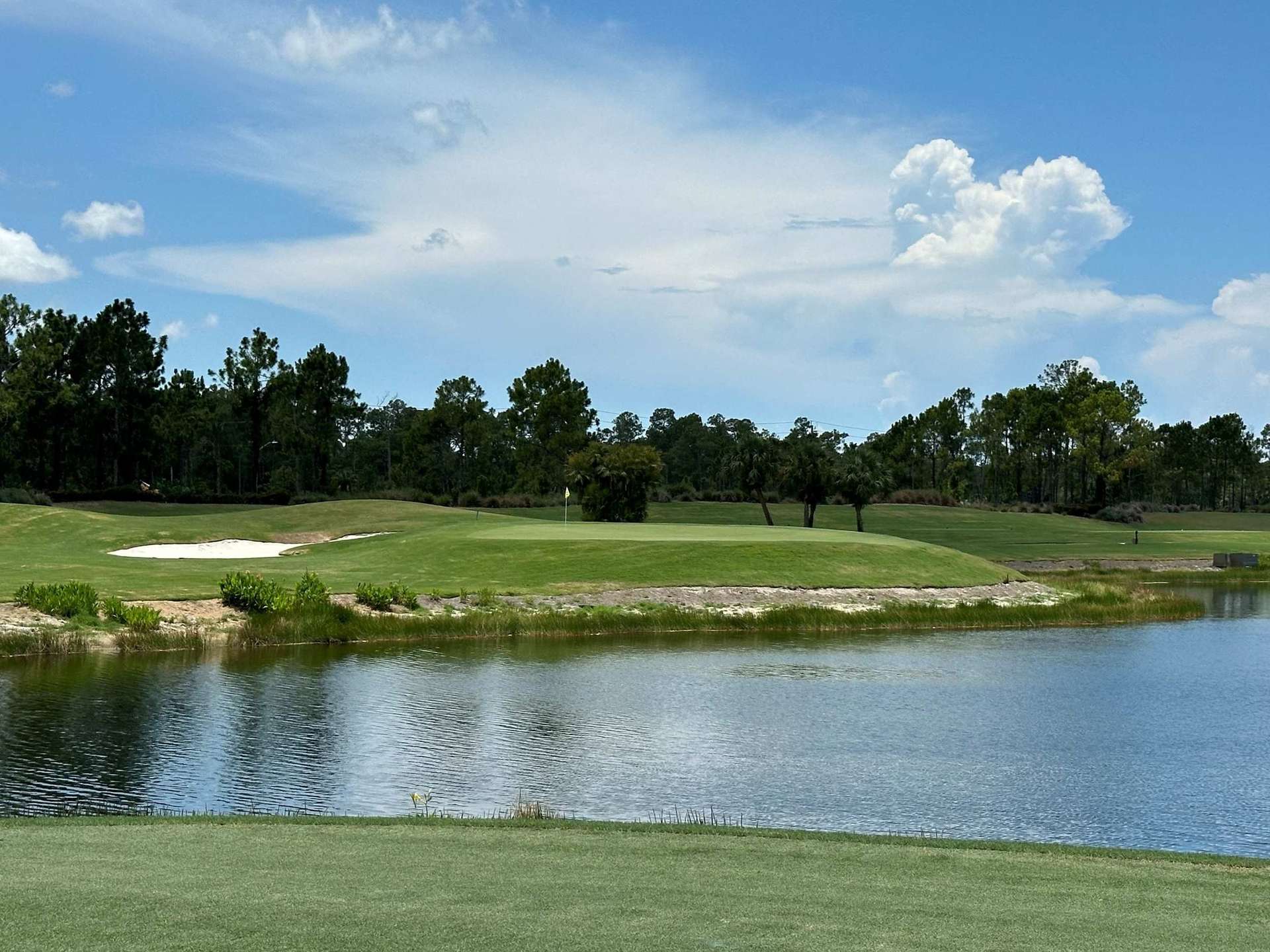 Course view