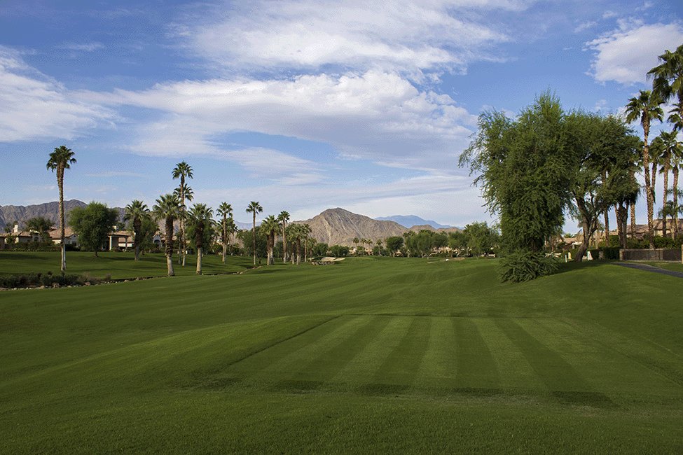 Rancho Pate green