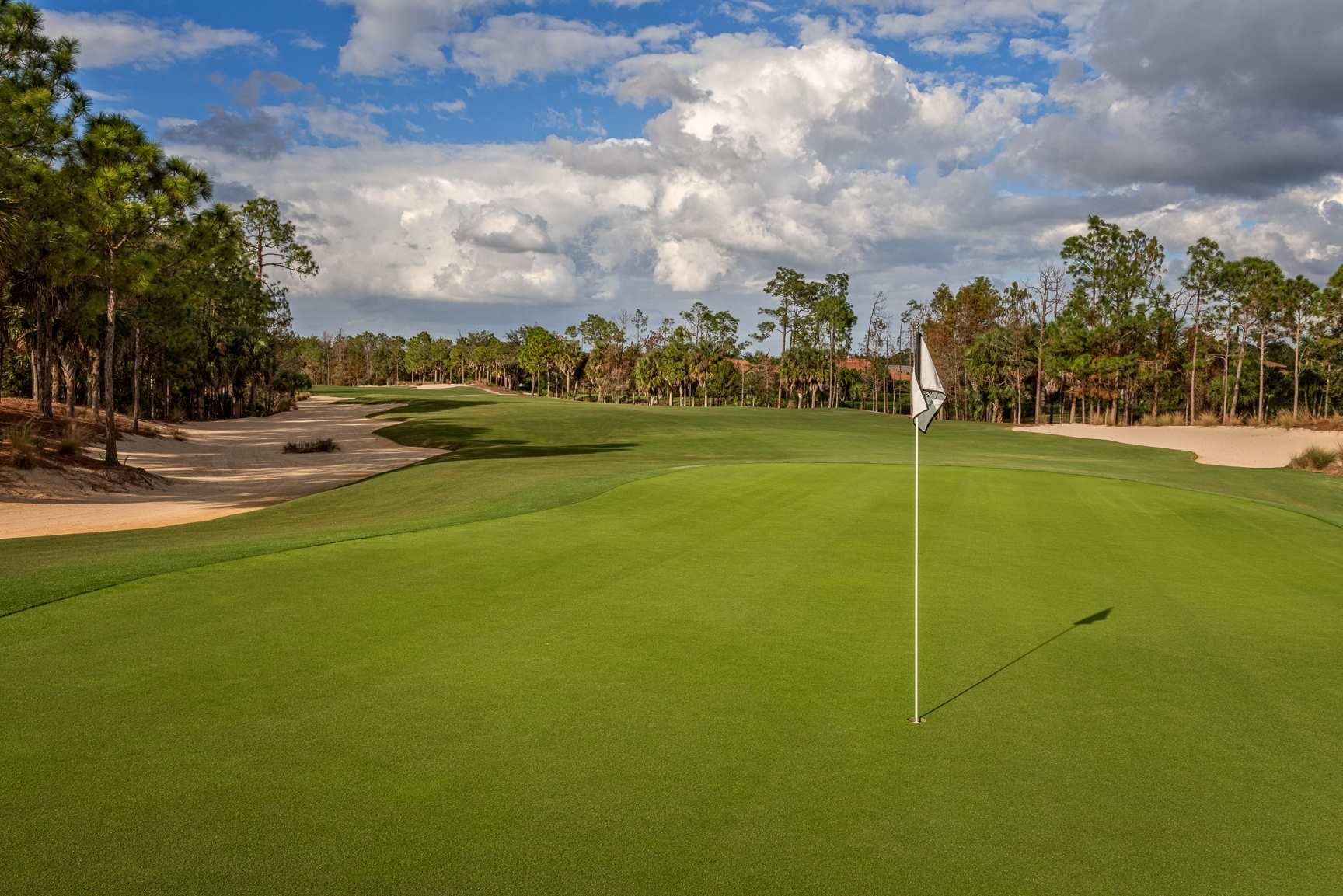 Tiburón fairway