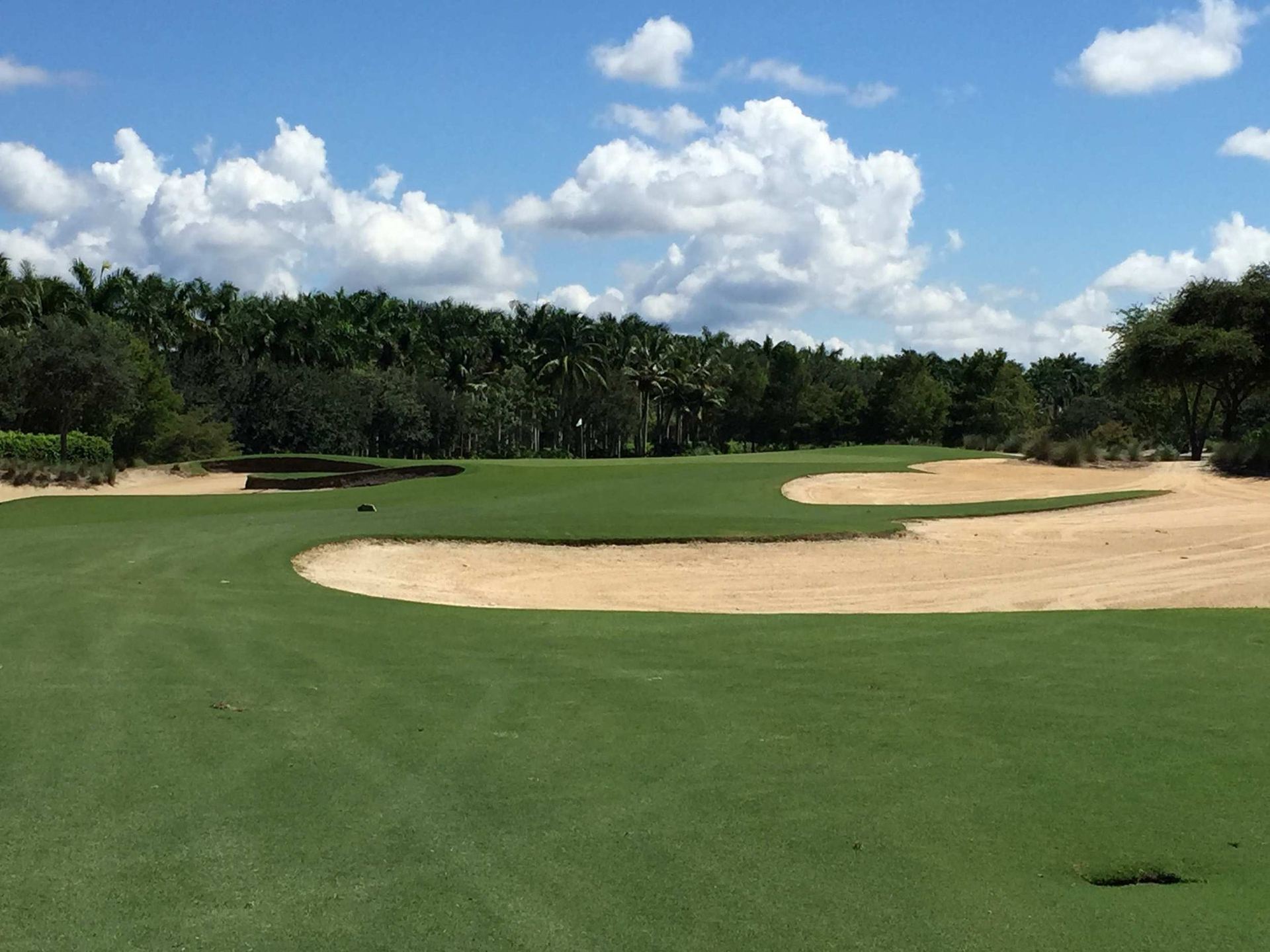Course view