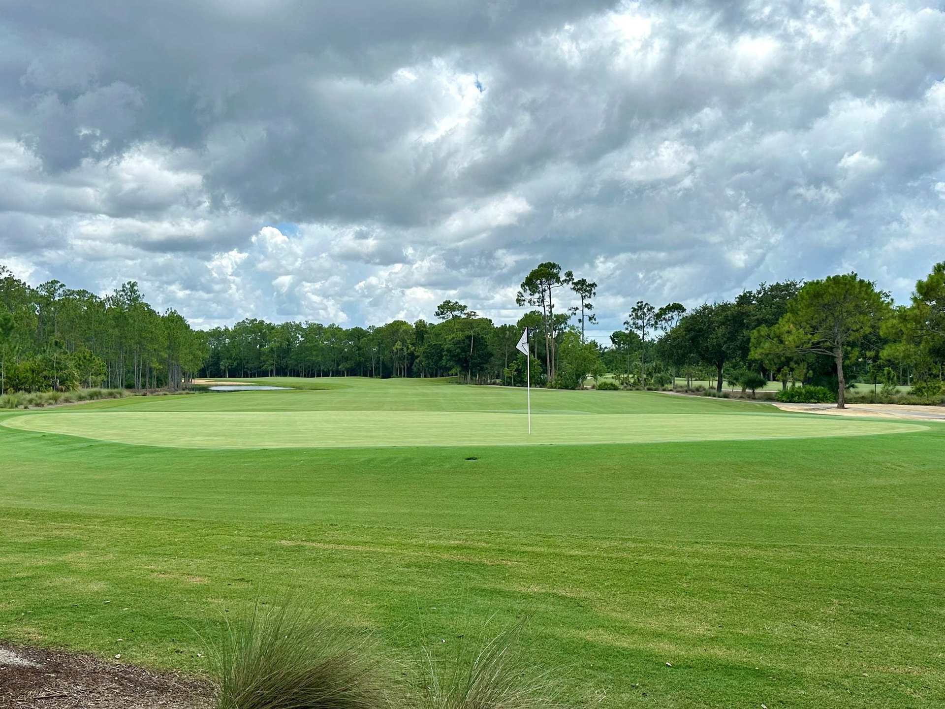 Tiburón fairway