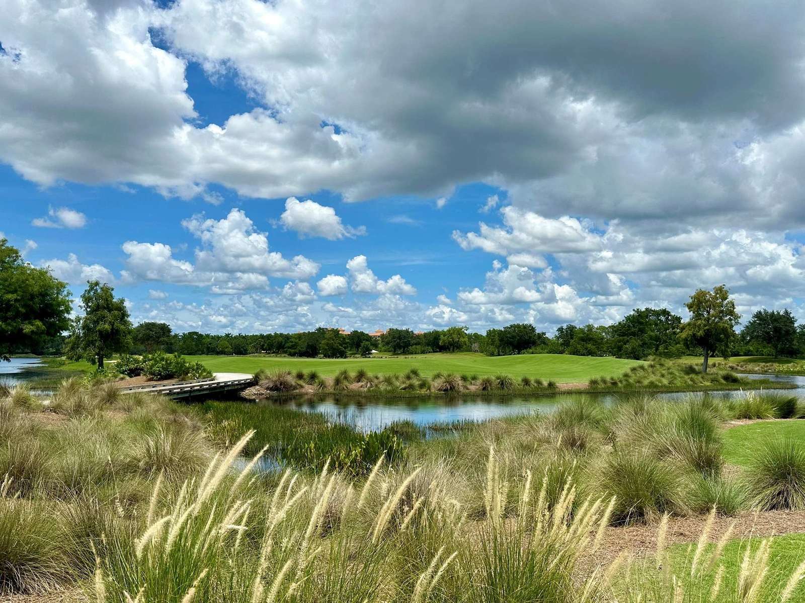 Tiburón landscape